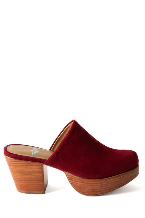 Fortress Ava Clog Mule In Burgundy Suede