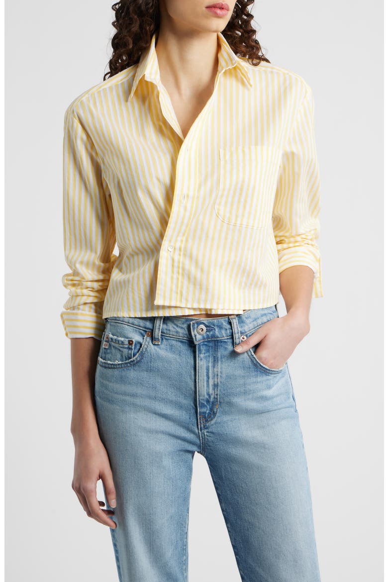 Stripe Asymmetric Cotton Button-Up Shirt, Main, color, GOLDEN NEEDLE