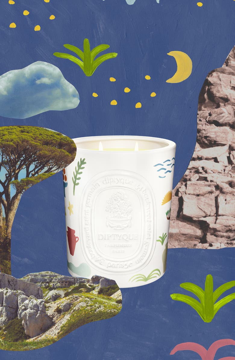 Diptyque Citronnelle Lemongrass & Orange Blossom 5-Wick Candle, Alternate, color,