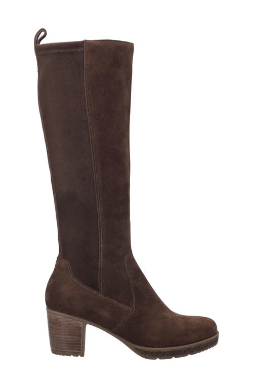 Josef Seibel Gloria 03 Knee High Boot In Brown