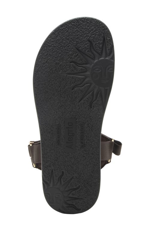 Alegria By Pg Lite Allyson Platform Sandal In Brown