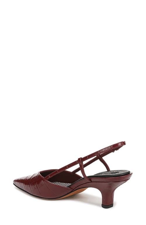 Vince Levvy Slingback Pointed Toe Kitten Heel Pump In Brown