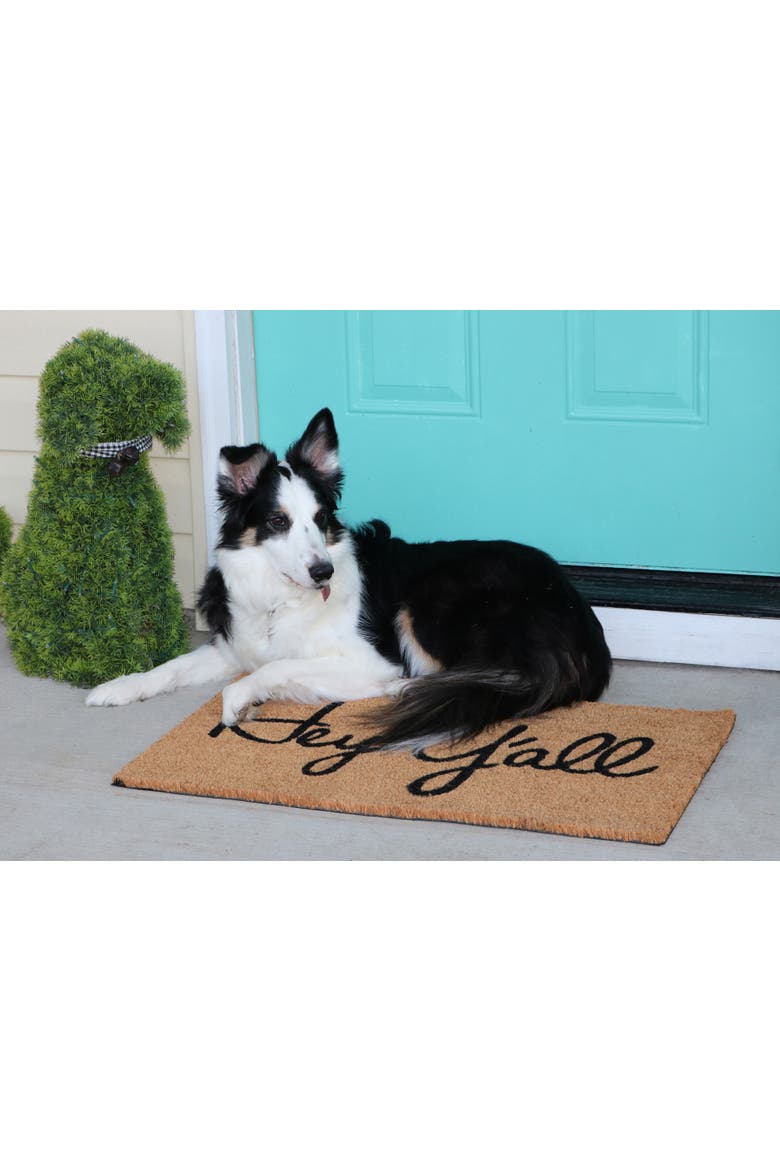 Hey Y'All Southern Rectangle Coir Door Mat Beige Indoor Outdoor, Alternate, color, Beige