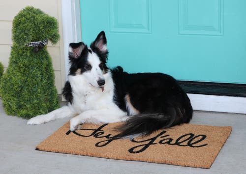 Tag Hey Y'all Southern Rectangle Coir Door Mat Beige Indoor Outdoor In Brown