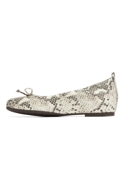 Abeo Cadence Bow Ballet Flat In Snake Print - Regular