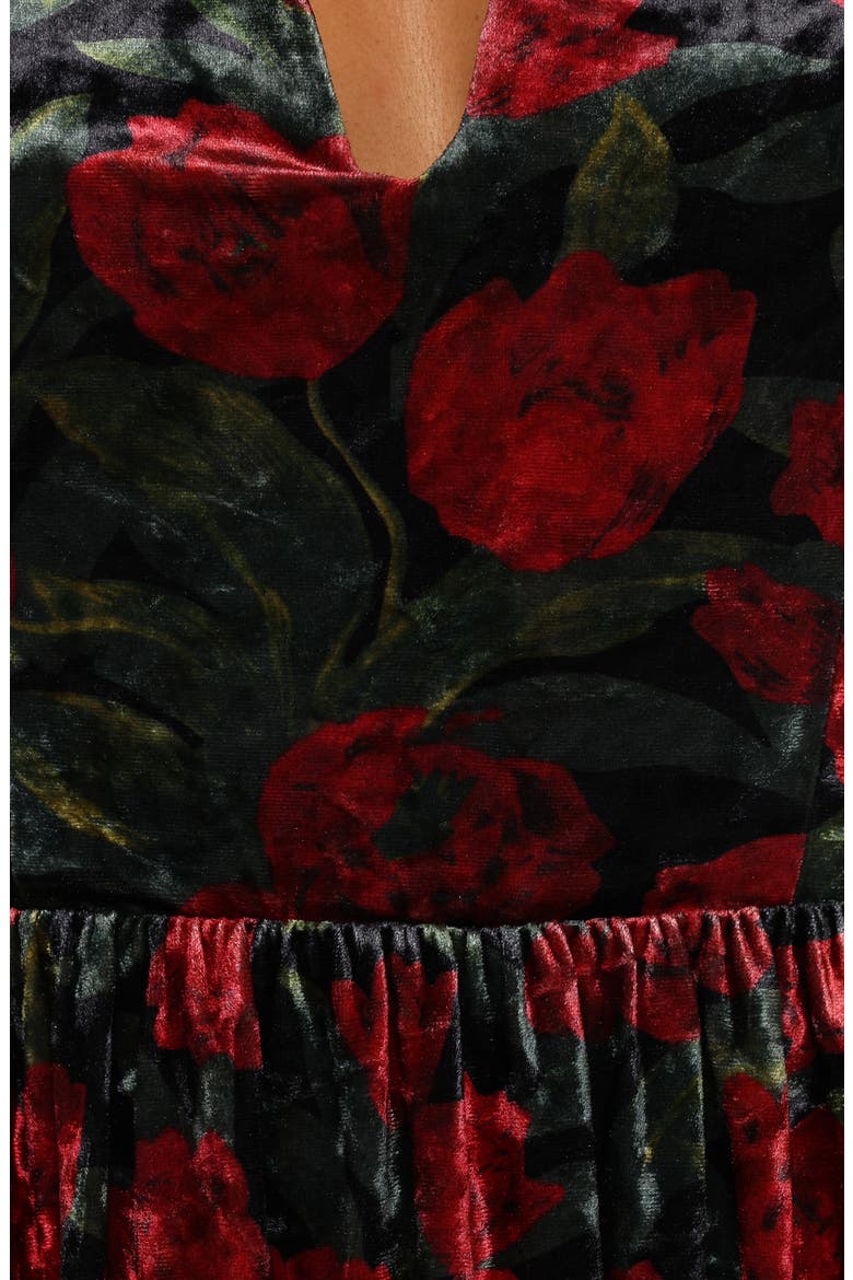 Anders Floral Print Velvet Minidress, Alternate, color, BLACK/ RED