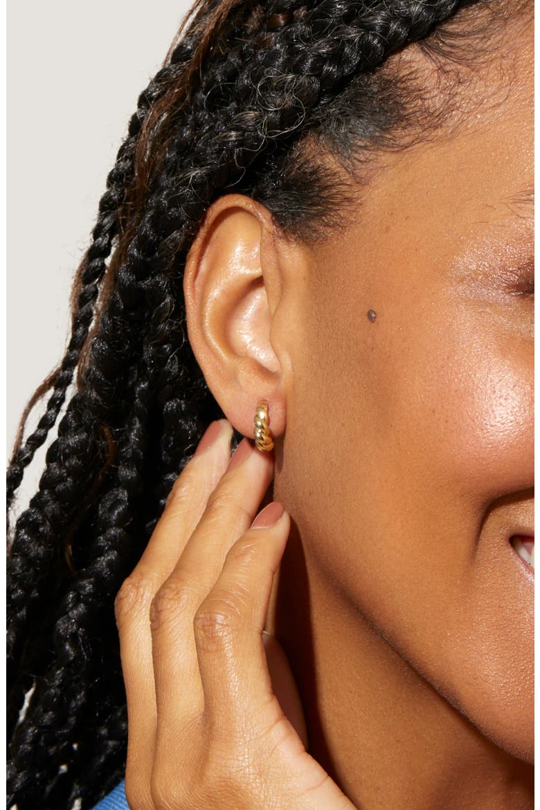 Twisted Hoop Earrings - Paris Mini, Alternate, color, Gold