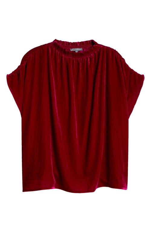Wit & Wisdom Ruffle Velvet Top