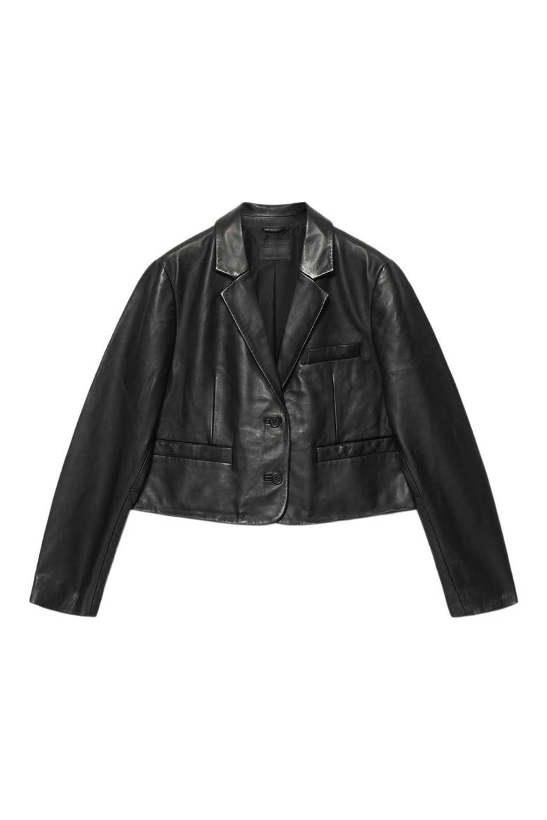 Apton Leather Blazer, Alternate, color, BLACK