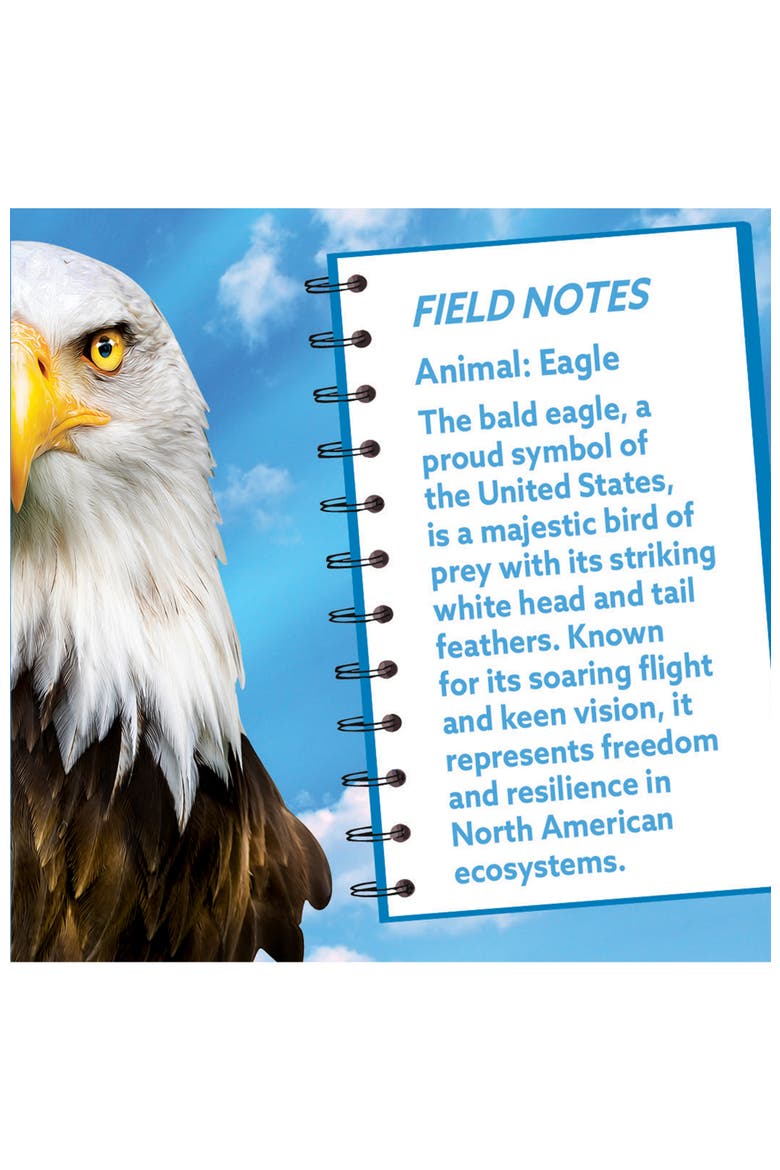 Eagle 100 Piece Shaped Jigsaw Puzzle, Alternate, color, Multicolor