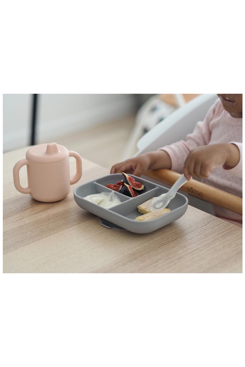 Sips & Bites 3-Piece Silicone Feeding Set, Alternate, color, ROSE