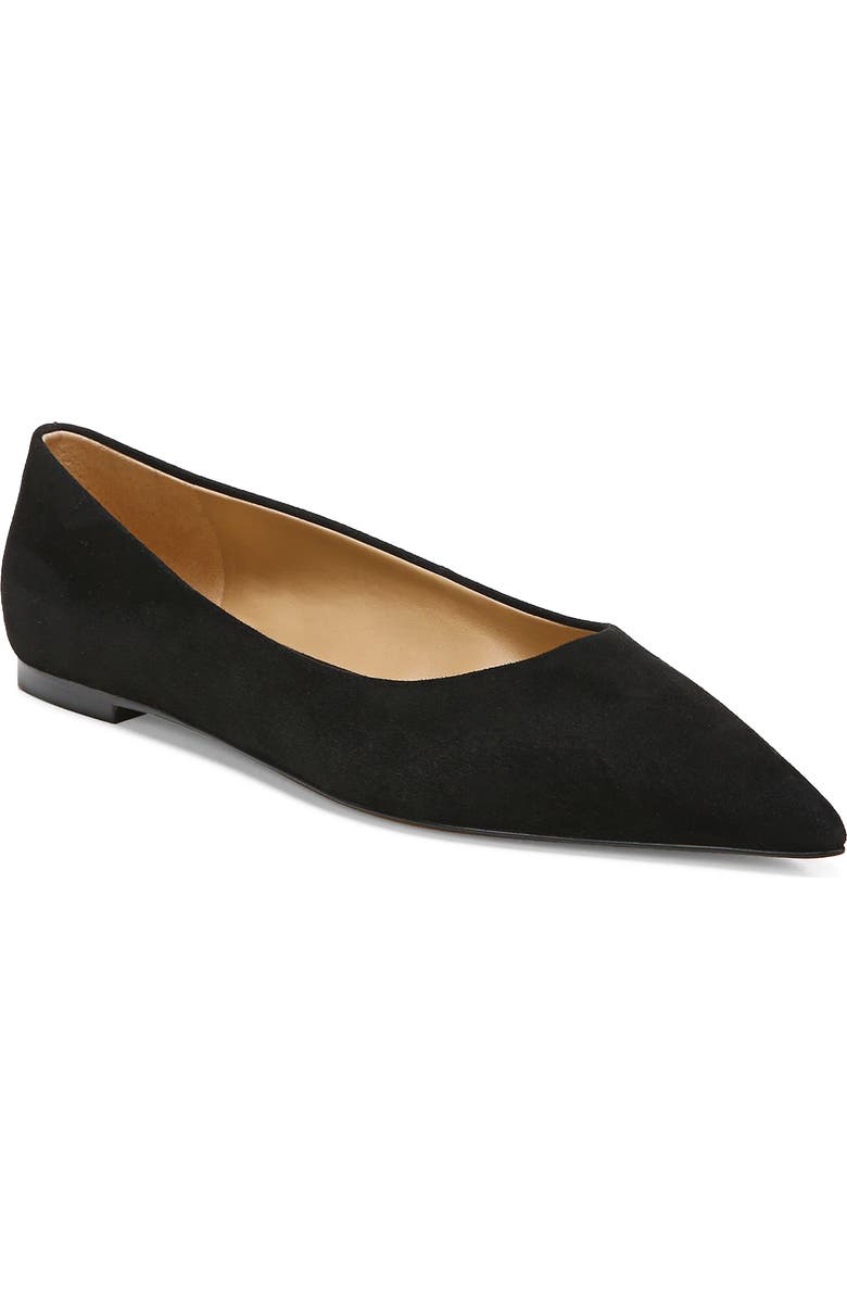Sam Edelman Wanda Pointed Toe Flat - Wide Width Available, Main, color,