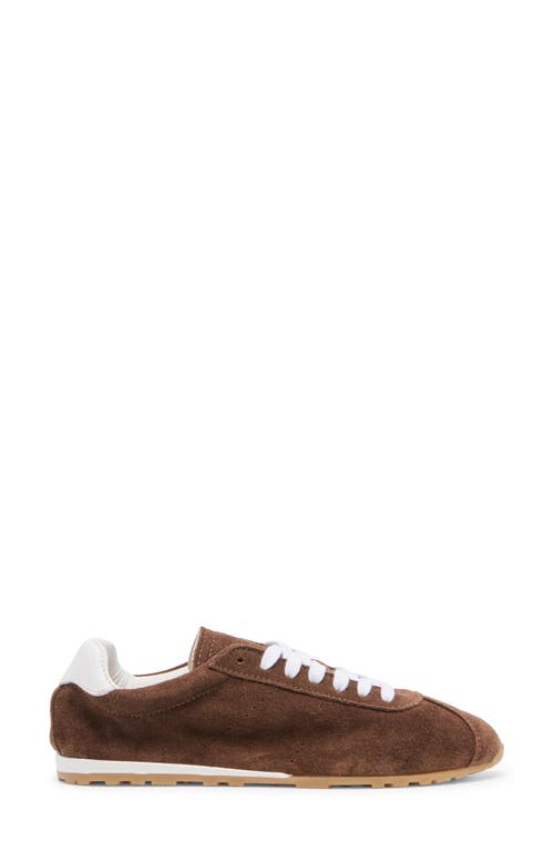 Dolce Vita Serina Sneakers Dk Brown Suede In Brown