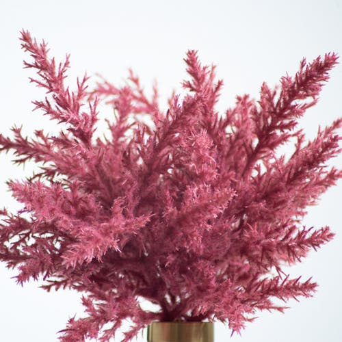 Darby Creek Trading Mauve Pink Faux Pampas Grass Everyday Spring Fall Water Illusion Arrangement In