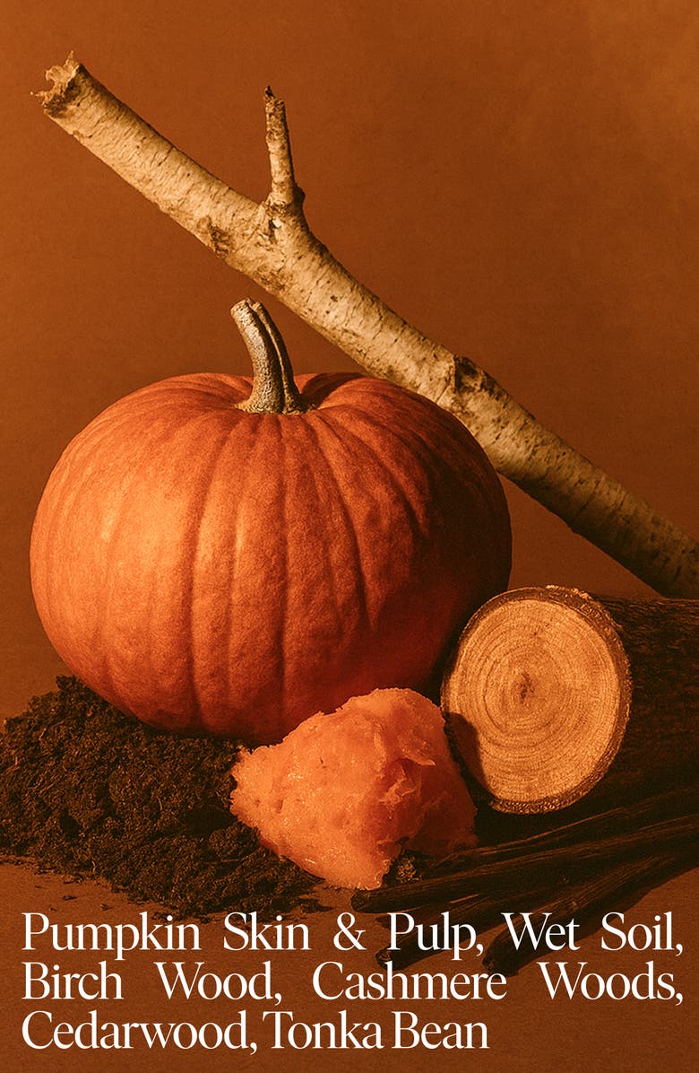 SIBLINGS Last Picked Pumpkin Candle Refill, Alternate, color, White