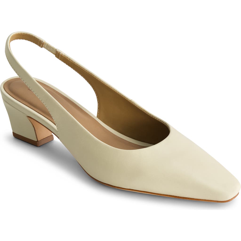 Shop Bernardo Footwear Ariella Slingback Pump In Eggshell