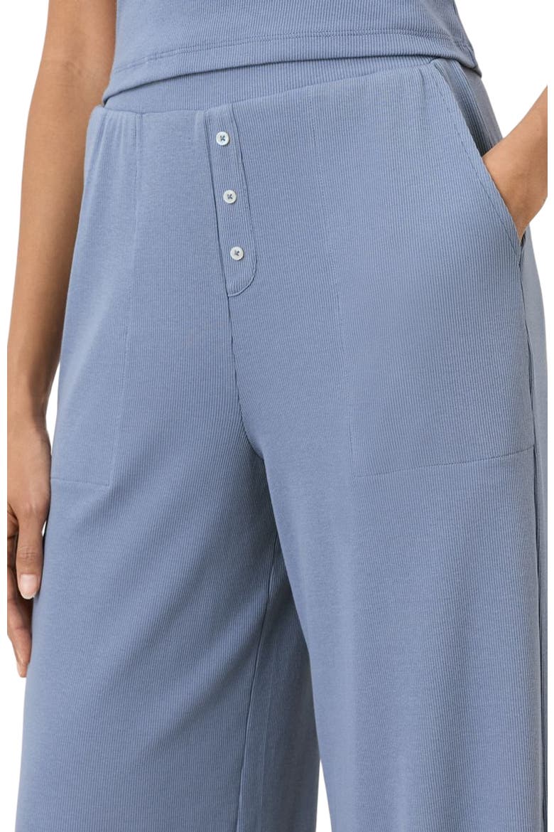 Dream Rib Wide Leg Lounge Pant Made With Organic Cotton, Alternate, color, Iris Blue