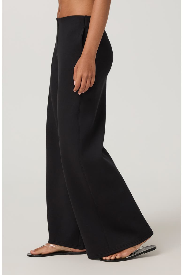 Galaxy High Waist Wide Leg Pants, Alternate, color, BLACK