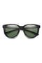  Ash Tortoise / Gray Green