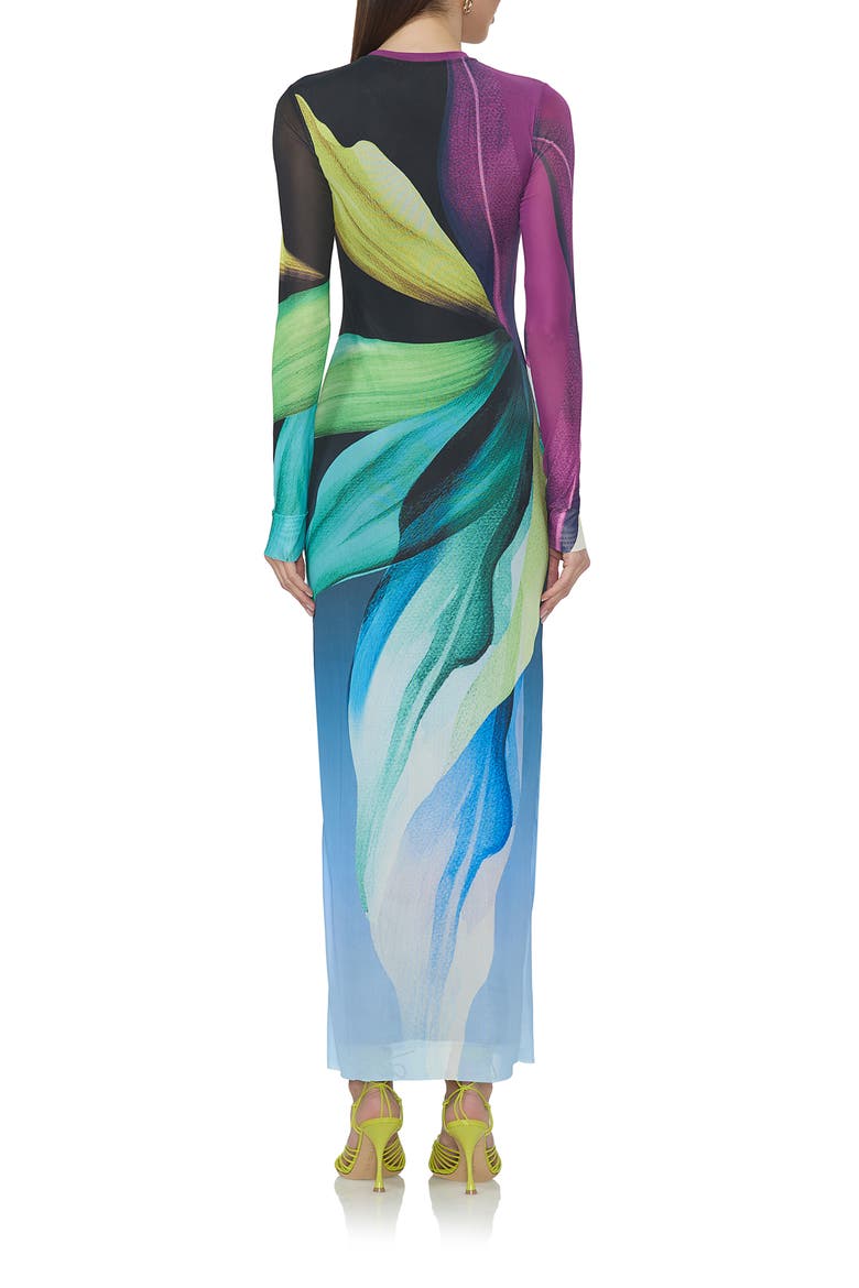 Didi Printed Long Sleeve Mesh Maxi Dress, Alternate, color, BLACK LOTUS