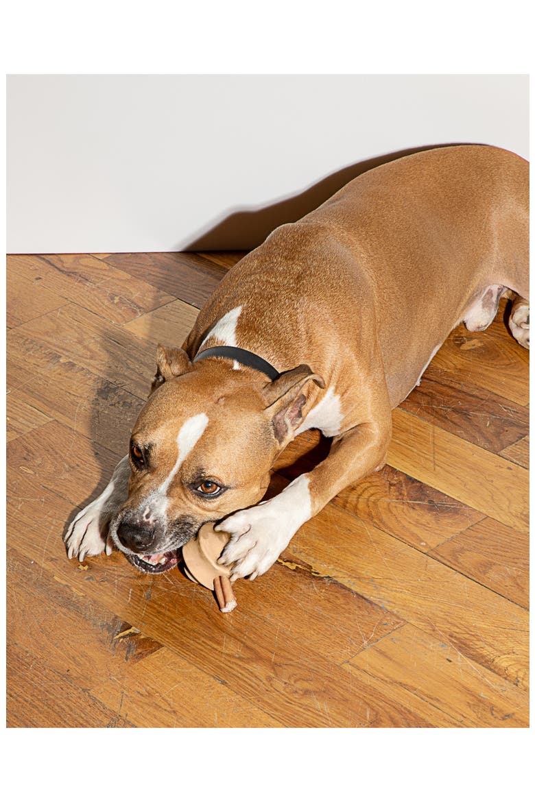 Twist Toss Rubber Dog Chew Toy, Alternate, color, TAN