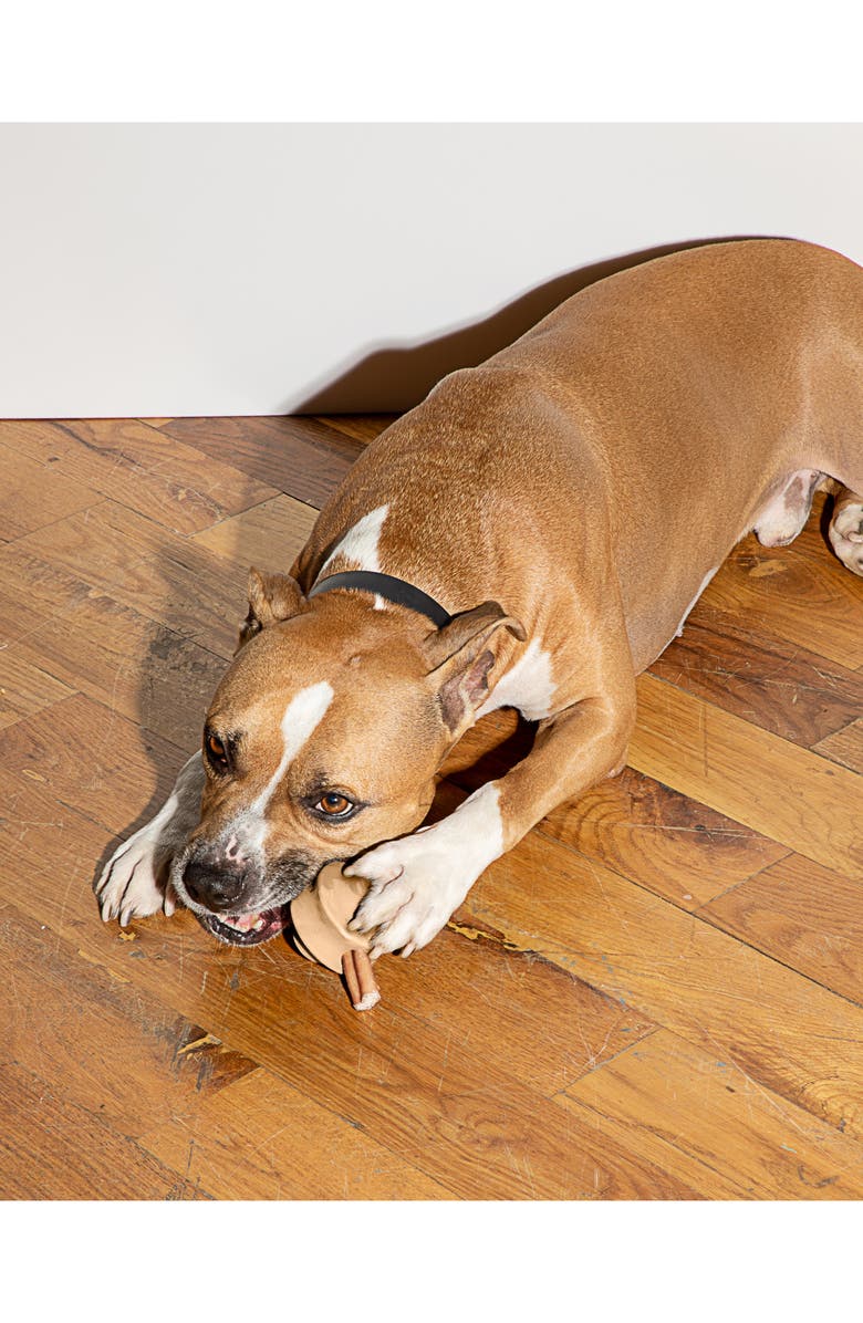 Wild One Twist Toss Rubber Dog Chew Toy, Alternate, color, 