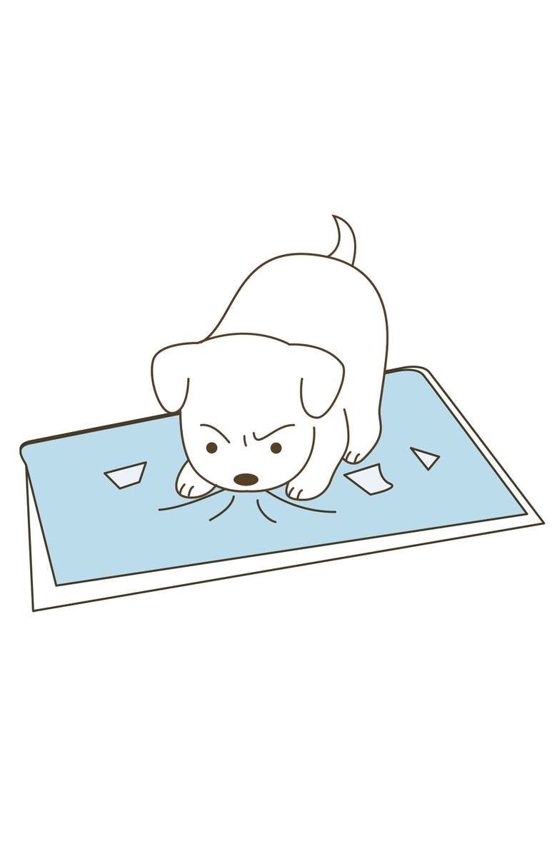 Richell PAW TRAX Mesh Dog Potty Training Tray, Alternate, color, Multicolored