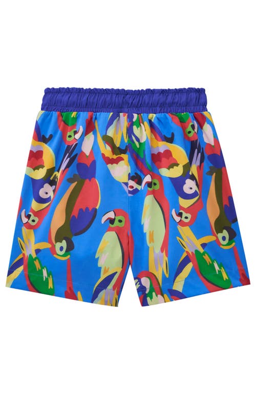 Shop Roarsome Parrot Swim Trunk