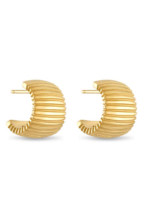 Pamela Zamore Isla Wide Hoop Earrings In Gold