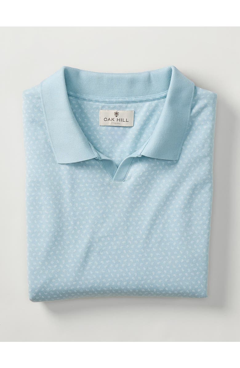 Oak Hill by DXL Big & Tall  Printed Notch-Collar Tech Polo Shirt, Alternate, color, Winter Sky