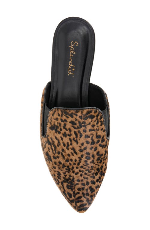Splendid Liza Pointed Toe Mule In Brown