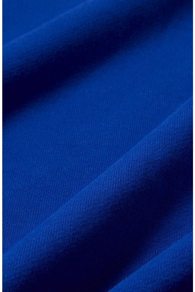 Sportswear Graphic Fleece Hoodie, Alternate, color, OLD ROYAL/ SAIL