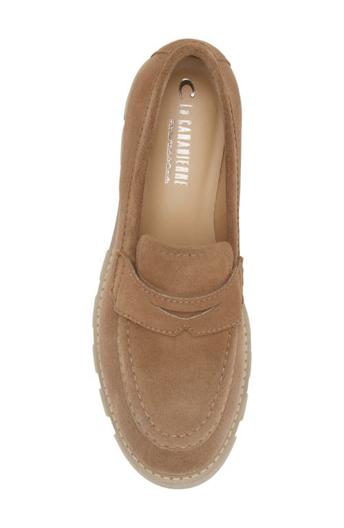 La Canadienne Daniel Waterproof Platform Penny Loafer In Biscotti Suede