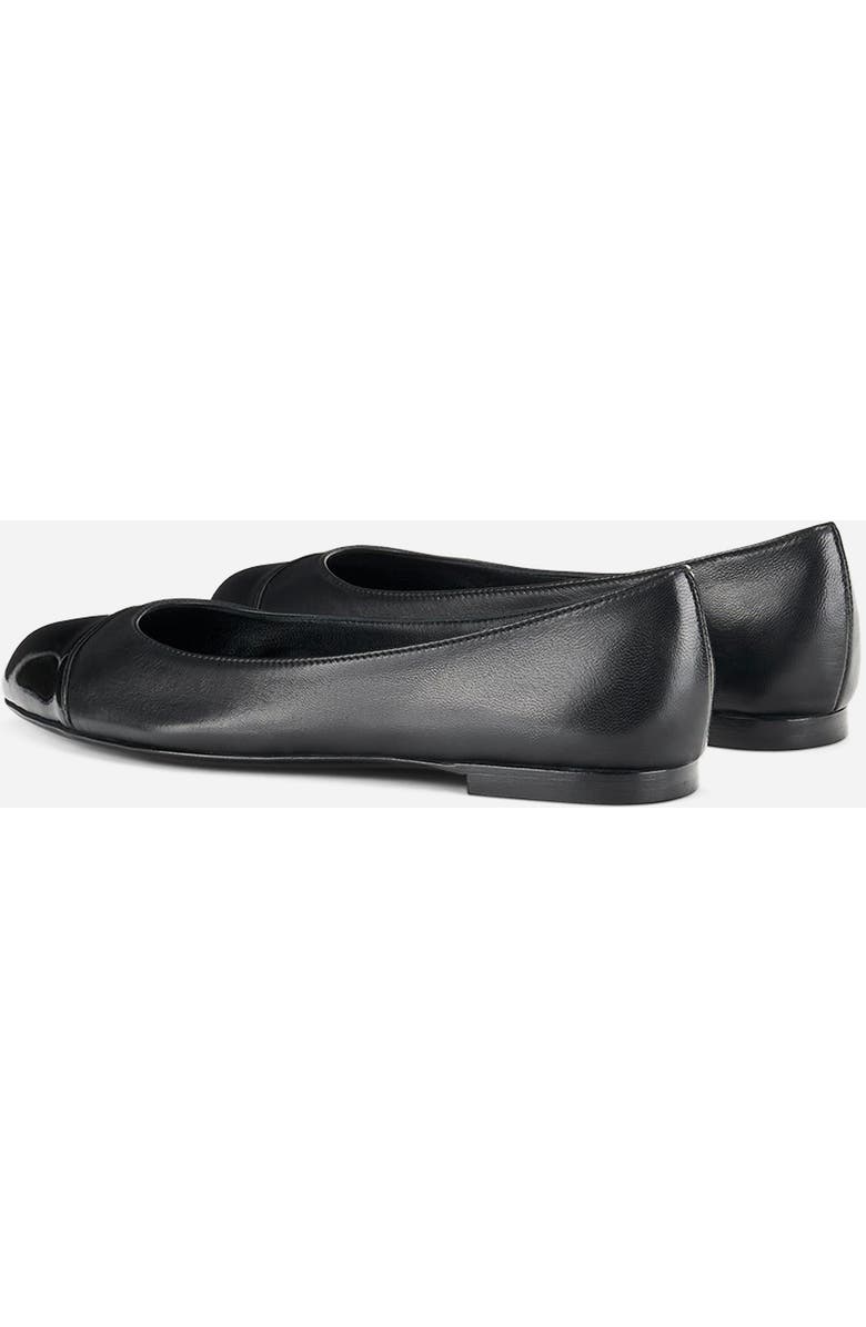 AGL Milly Bicolor Ballet Flat, Alternate, color, Black