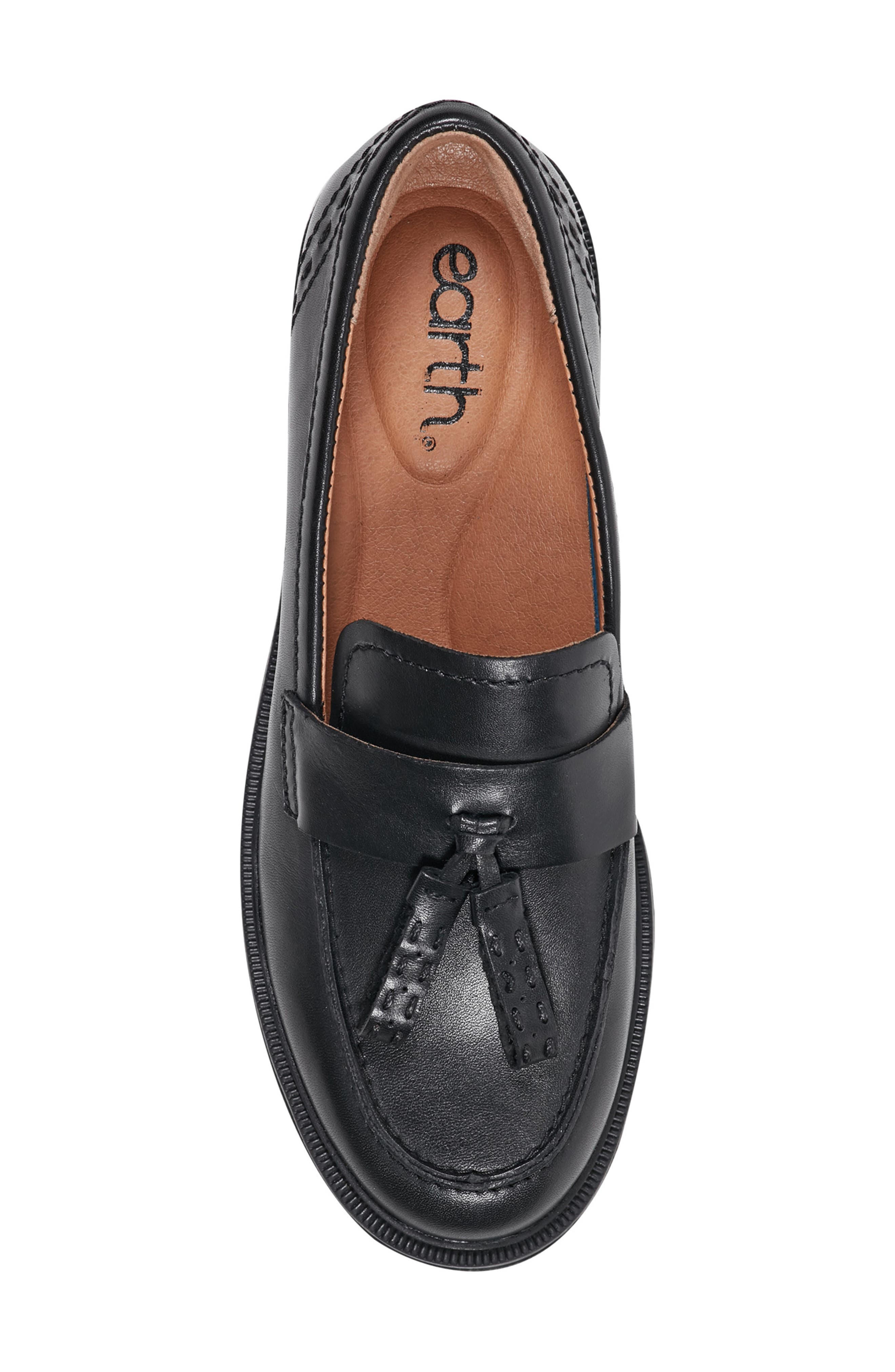 Earth<sup>®</sup> Deeana Tassel Loafer, Alternate, color, Black