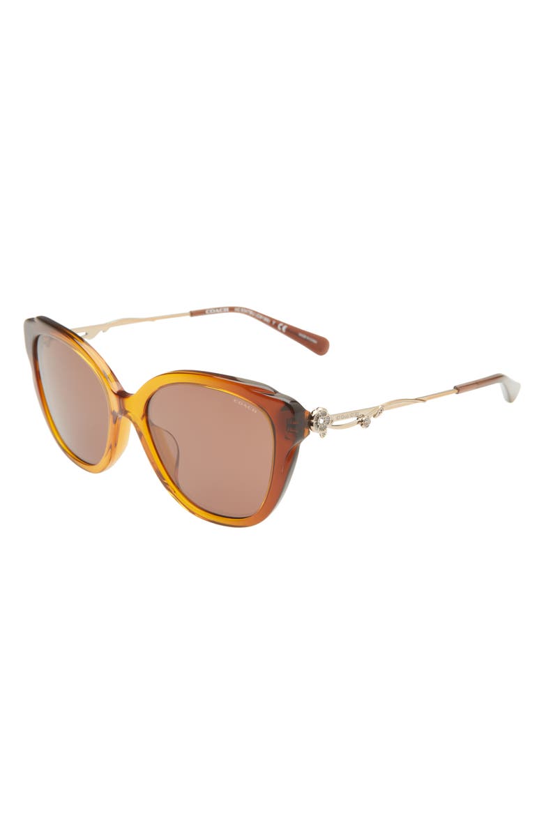 COACH 55mm Cat Eye Sunglasses, Alternate, color, Smoke