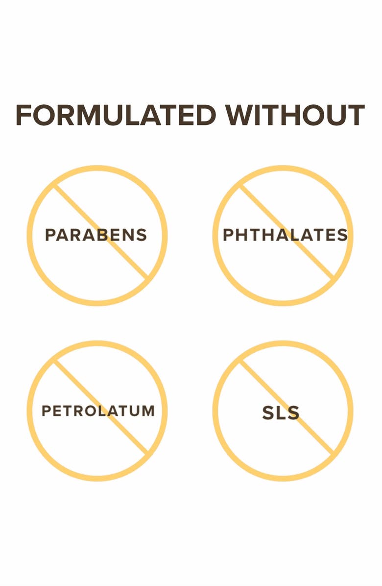 Burt's Bees 4-Piece Bee Mine Chapstick Gift Set, Alternate, color,