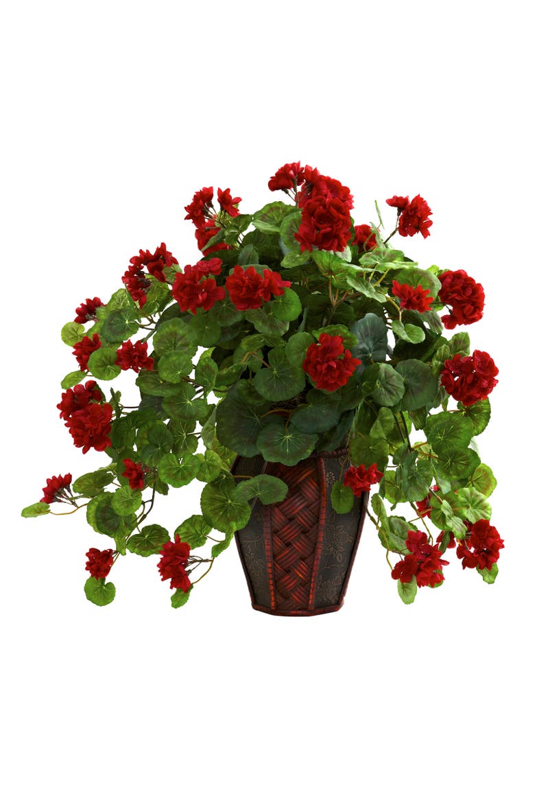 Geranium with Decorative Planter, Main, color, Green/Red