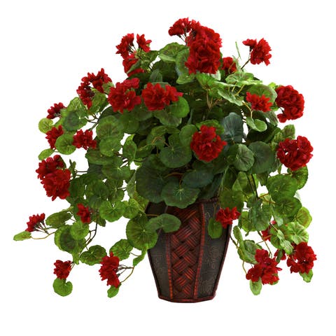 Geranium with Decorative Planter