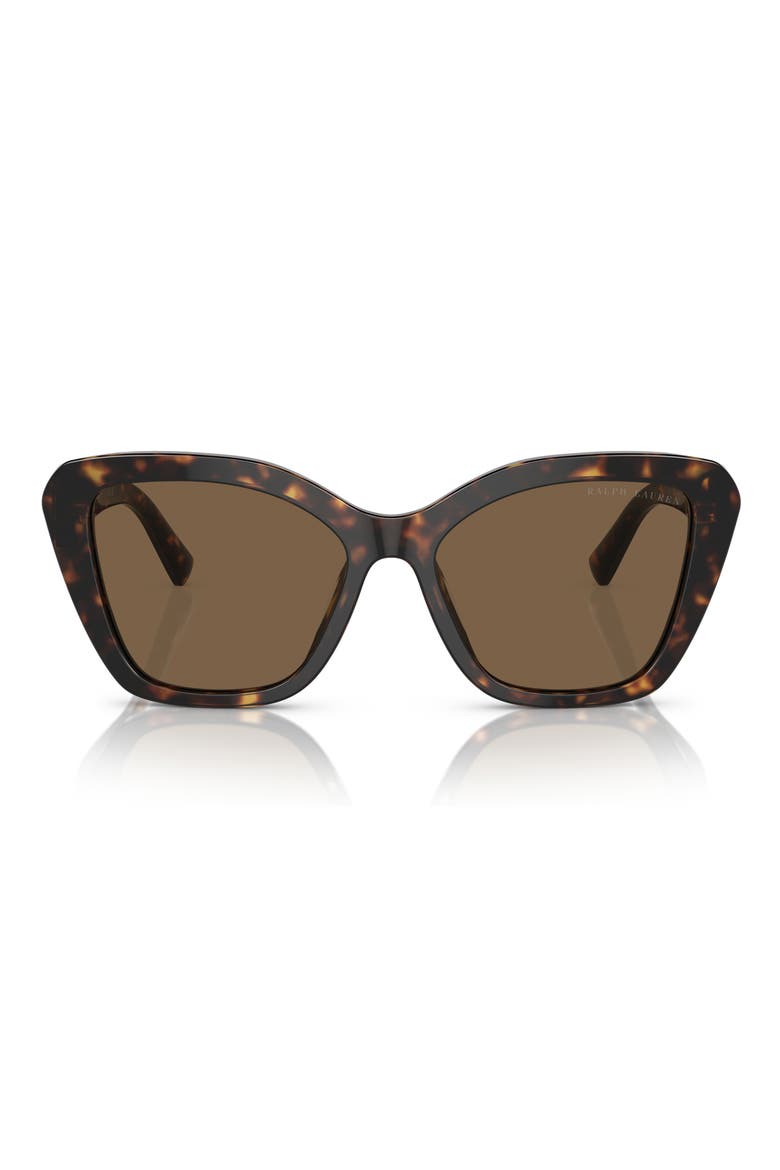 55mm Isabel Gradient Butterfly Sunglasses, Main, color, HAVANA / BROWN