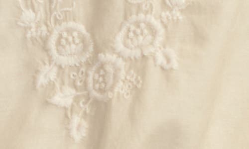 Lucky Brand Embroidered Tie Neck Crop Top In Neutral