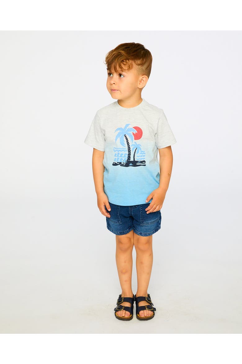 Organic Cotton Short Sleeve Beach Graphic Gradient T-Shirt, Alternate, color, Grey Mix To Blue Gradient