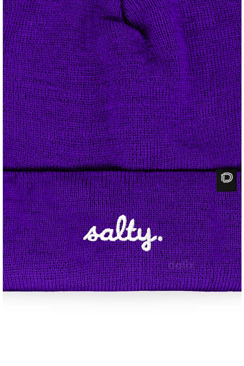 Salty Beanie Cap, Alternate, color, Purple