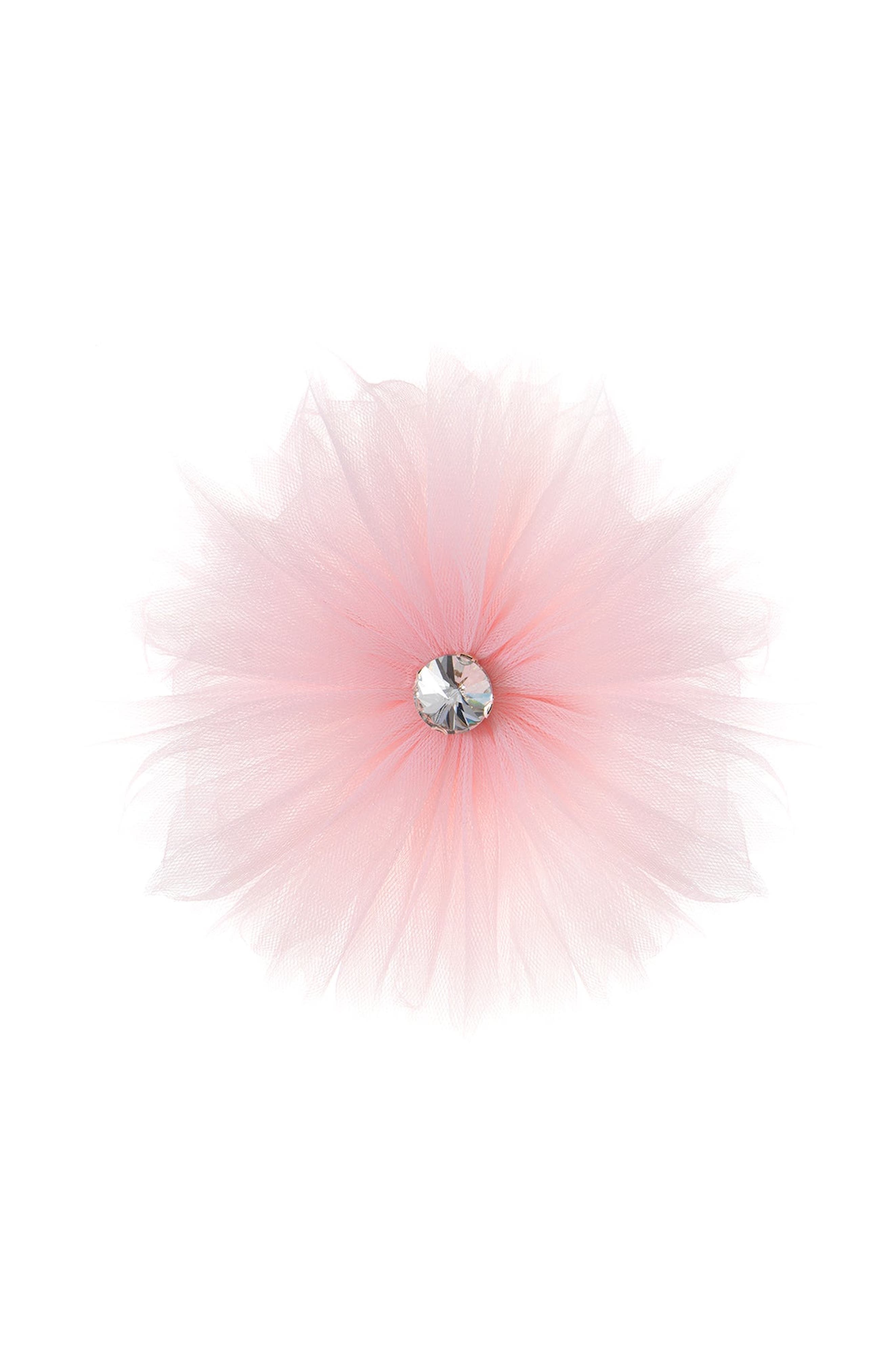 Pink Rose