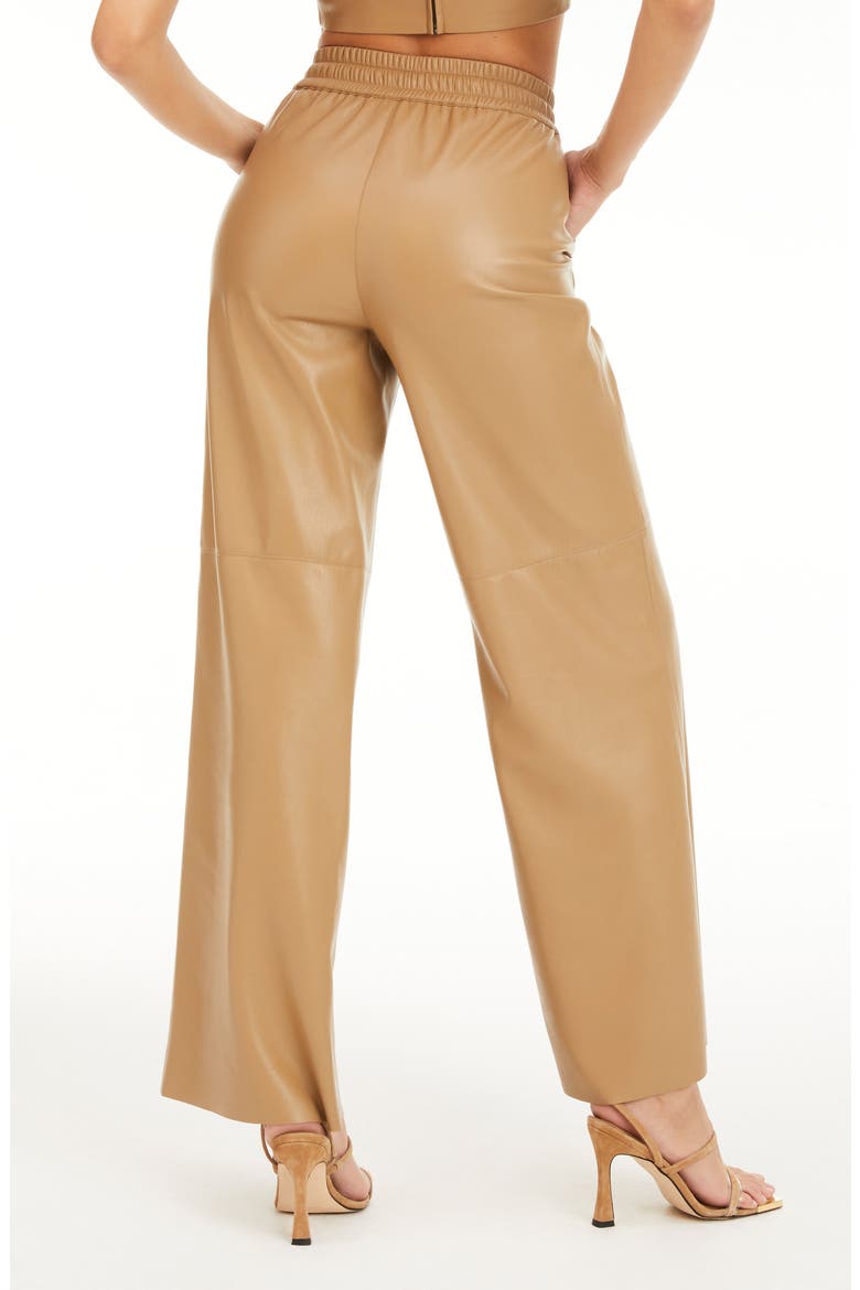 Faux Leather Wide Leg Pants, Alternate, color, WARM CARMEL003