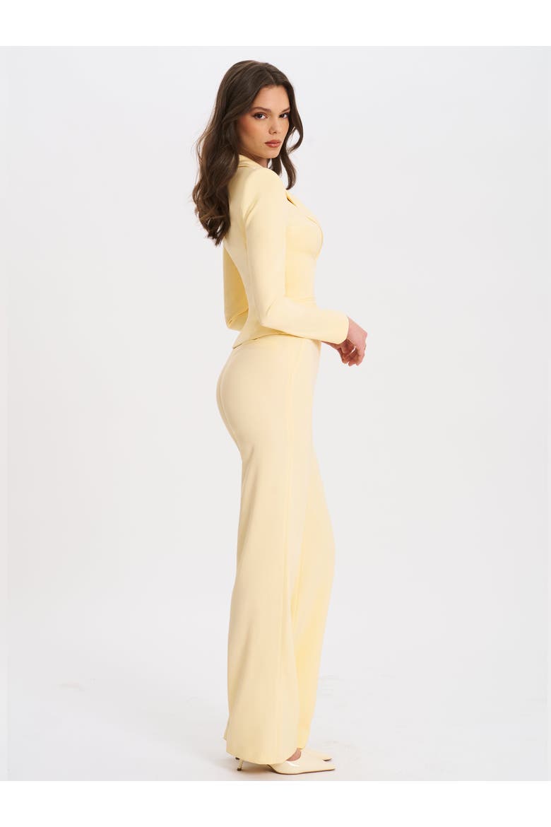 Quinne Tailored Business Casual Slim Blazer, Alternate, color, Yellow