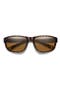  Tortoise / Polarized Brown