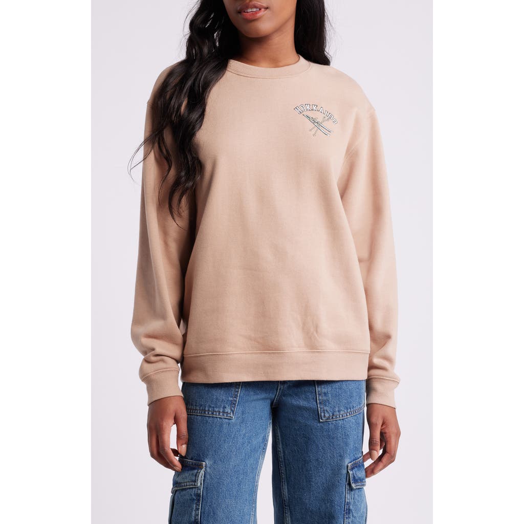 Vinyl Icons Hokkaido Graphic Fleece Sweatshirt in Brown