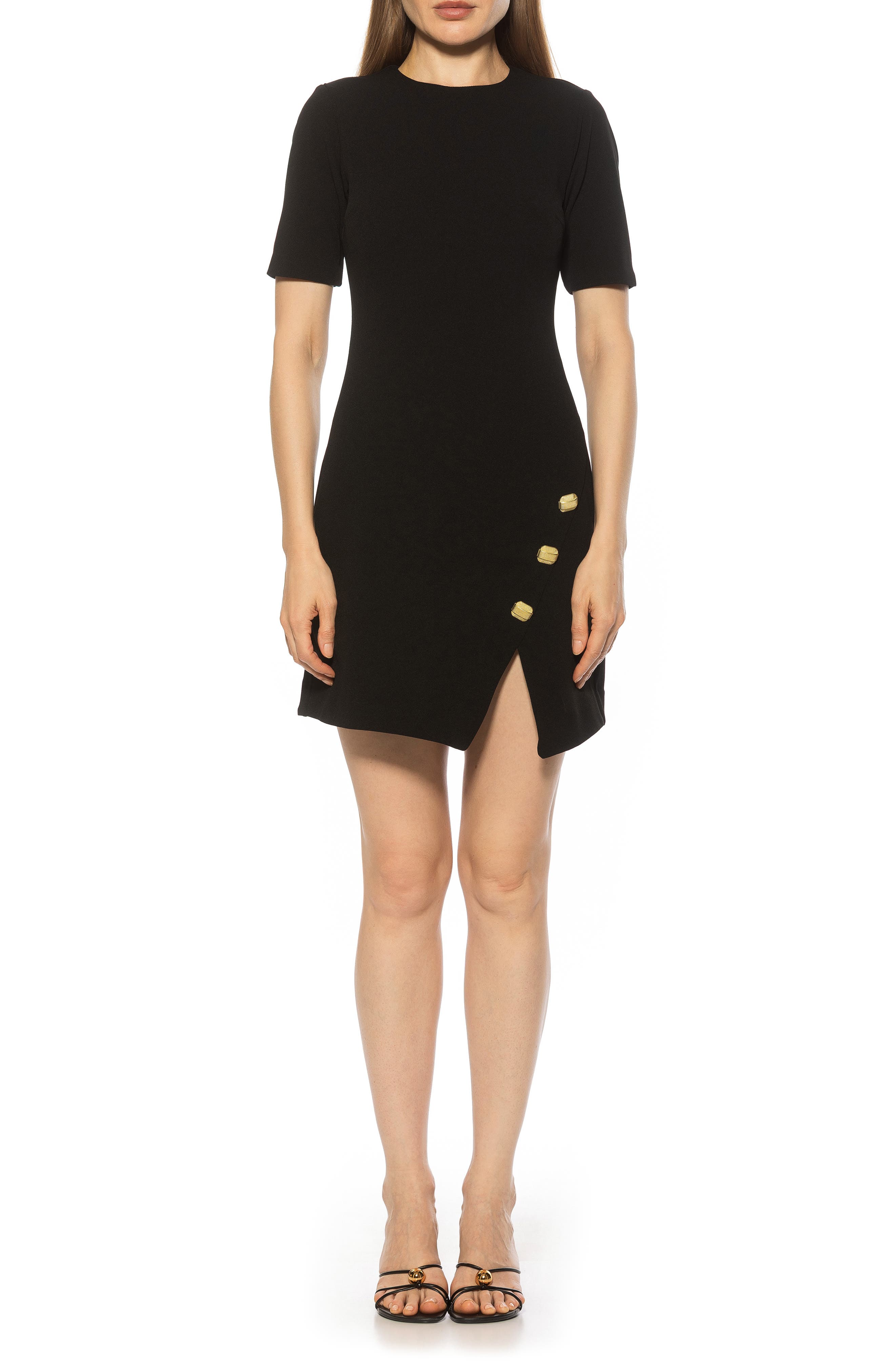 Alexia Admor Dream Short Sleeve Sheath Dress