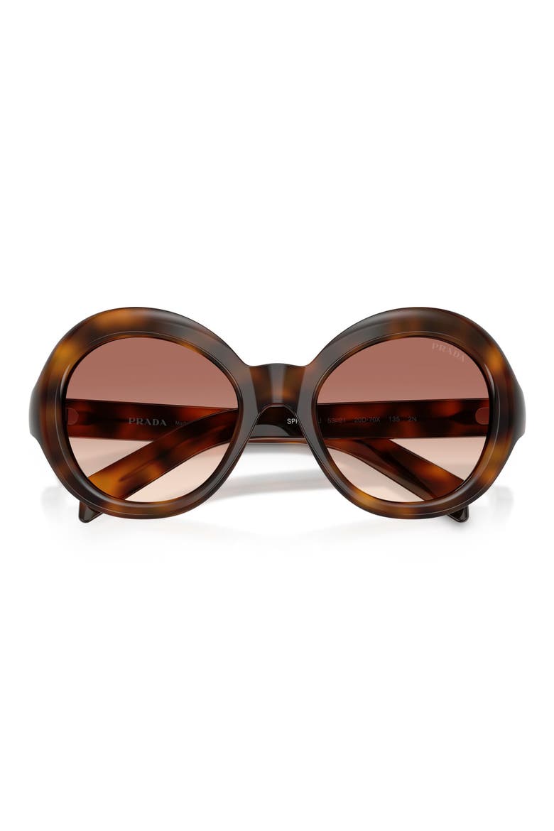 53mm Gradient Round Sunglasses, Alternate, color, TORTOISE / BROWN BORDEAUX